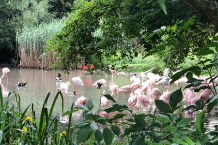 Stadtnaehe Und Doch Mitten In Der Natur Σάλτσμπουργκ Εξωτερικό φωτογραφία